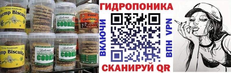 ОМГ ОМГ сайт  Кедровый  Canna-Cookies конопля 