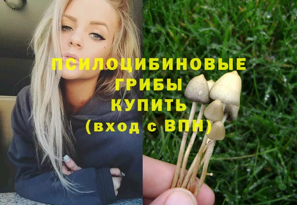 твердый Иннополис