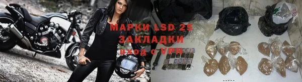 ПСИЛОЦИБИНОВЫЕ ГРИБЫ Инта