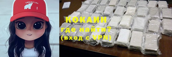 молекула духа Каменск-Шахтинский