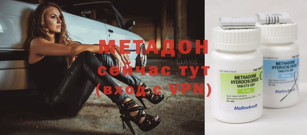 ПСИЛОЦИБИНОВЫЕ ГРИБЫ Инта
