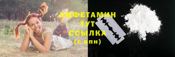 ПСИЛОЦИБИНОВЫЕ ГРИБЫ Инта