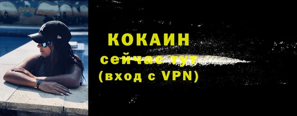 ПСИЛОЦИБИНОВЫЕ ГРИБЫ Инта