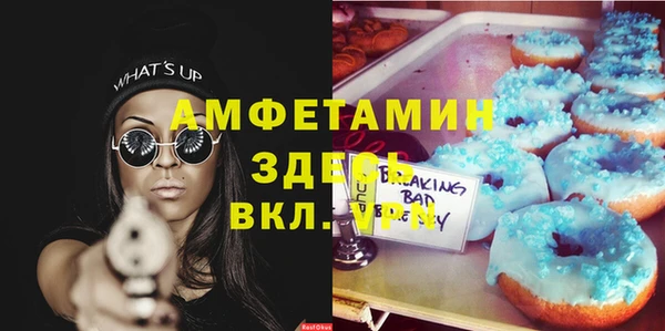 ПСИЛОЦИБИНОВЫЕ ГРИБЫ Инта