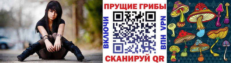 KRAKEN tor  купить наркотик  Кедровый  Галлюциногенные грибы Psilocybe 